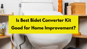 Is Best Bidet Converter Kit Good for Home Improvement?